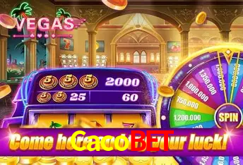 VIP Casino Cacobet